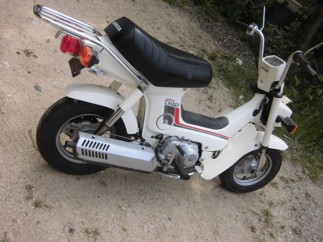 ホンダ　シャリー ホンダ シャリー50 12v仕様 通勤、通学、レジャー モンキー、エイプ