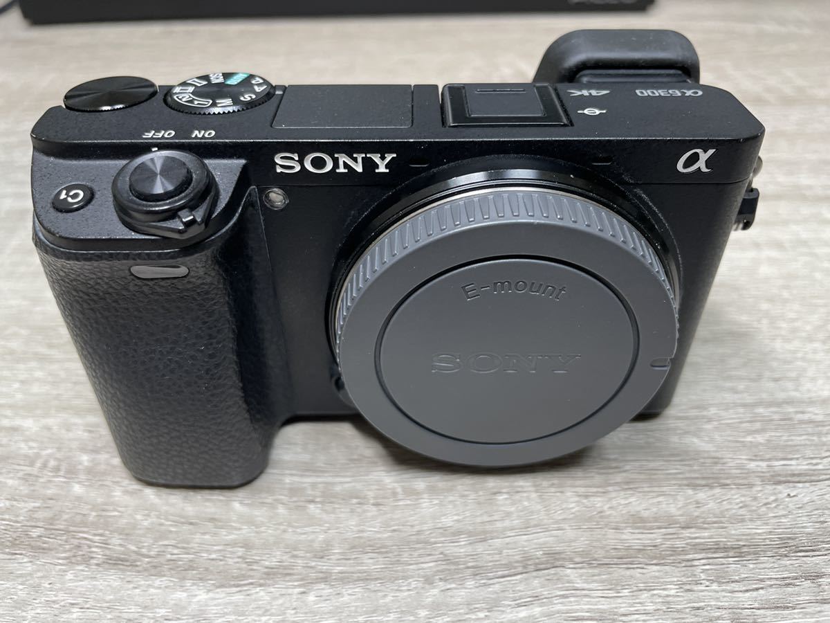 α6300 高倍率ズームレンズキット | ミラーレス一眼 ILCE-6300M ソニー 