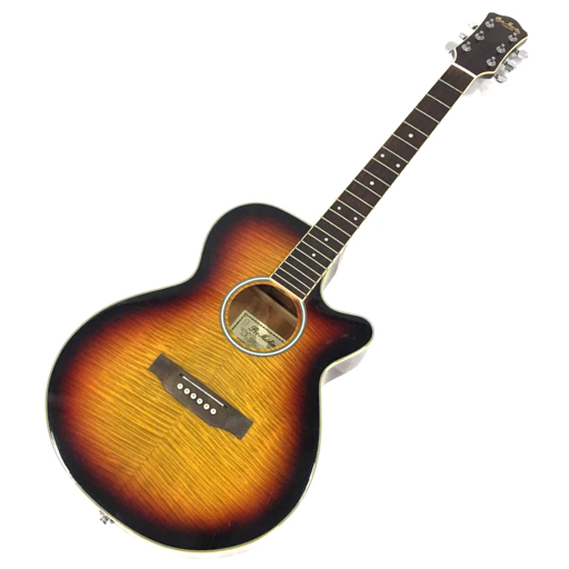 Martin Pro エレキアコースティックギター プロマーチン EA350BLS