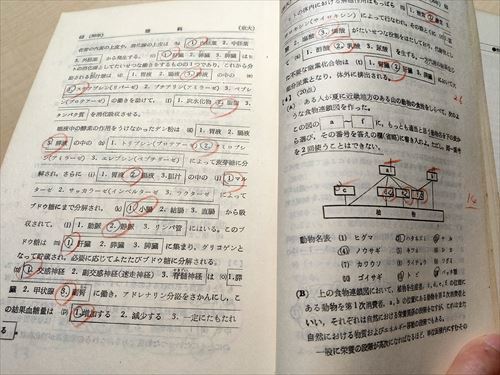 即決】京都大学 問題と対策 最近6ヵ年 1967年版 赤本/昭和42年度版