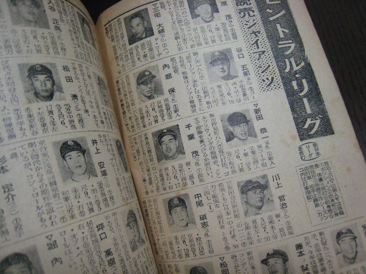 1954年 報知プロ野球名鑑 オールスター プロ野球 当時物 送料無料 昭和27年