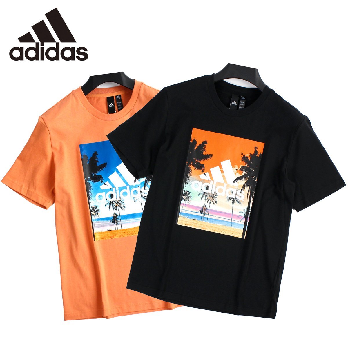 オレンジ黒の値段と価格推移は 4 327件の売買情報を集計したオレンジ黒の価格や価値の推移データを公開