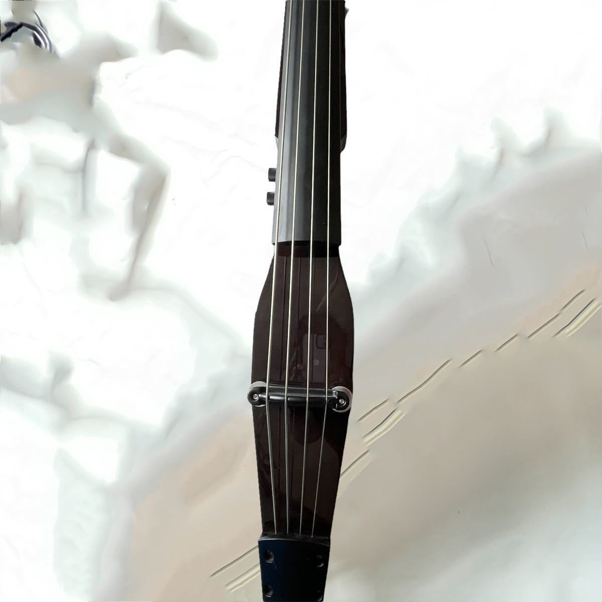 ハルシュタット Hallstatt エレクトリックアップライトベース RYB-200