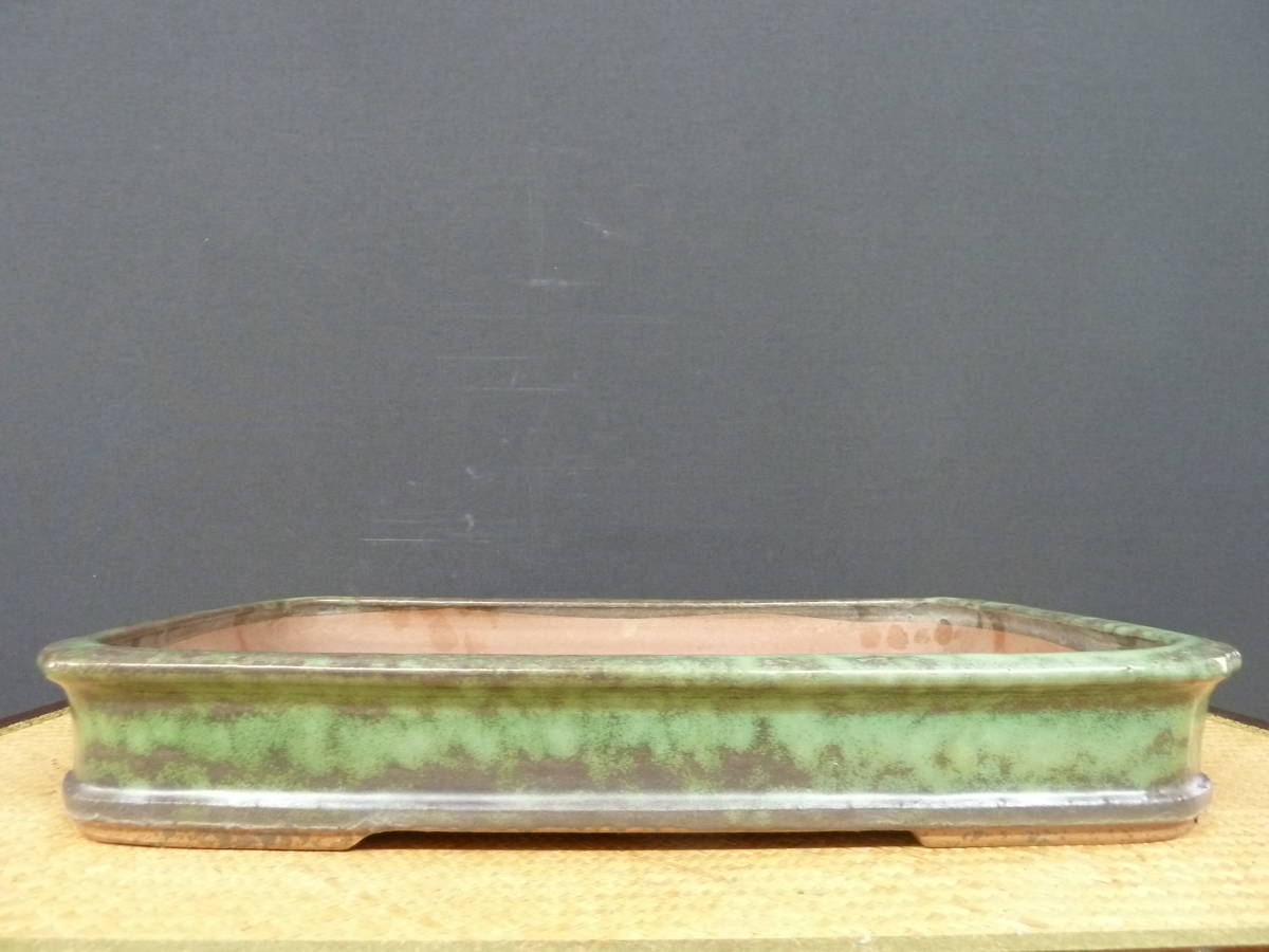 ◇盆栽幸◇秀峰ー外縁隅入長方鉢◇和鉢◇左右：42.5cmB-C | 盆栽、盆栽