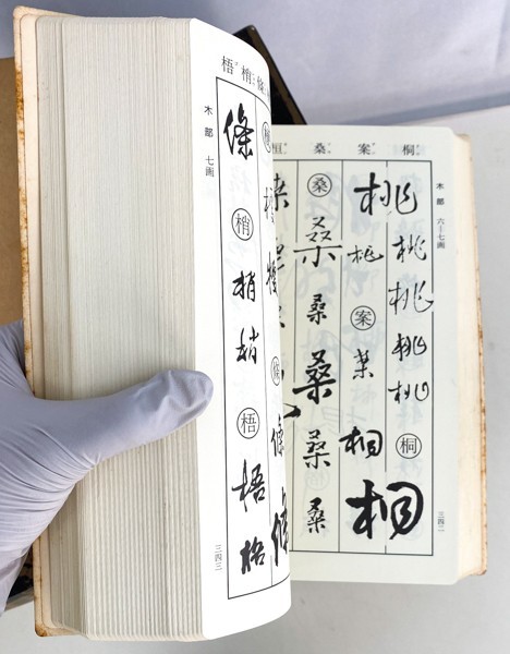 7冊 中国書家字典 王羲之/王鐸/書道大字典/二玄社 辞典 書道 資料 研究