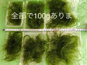 ウィローモス50gの値段と価格推移は 5件の売買情報を集計したウィローモス50gの価格や価値の推移データを公開