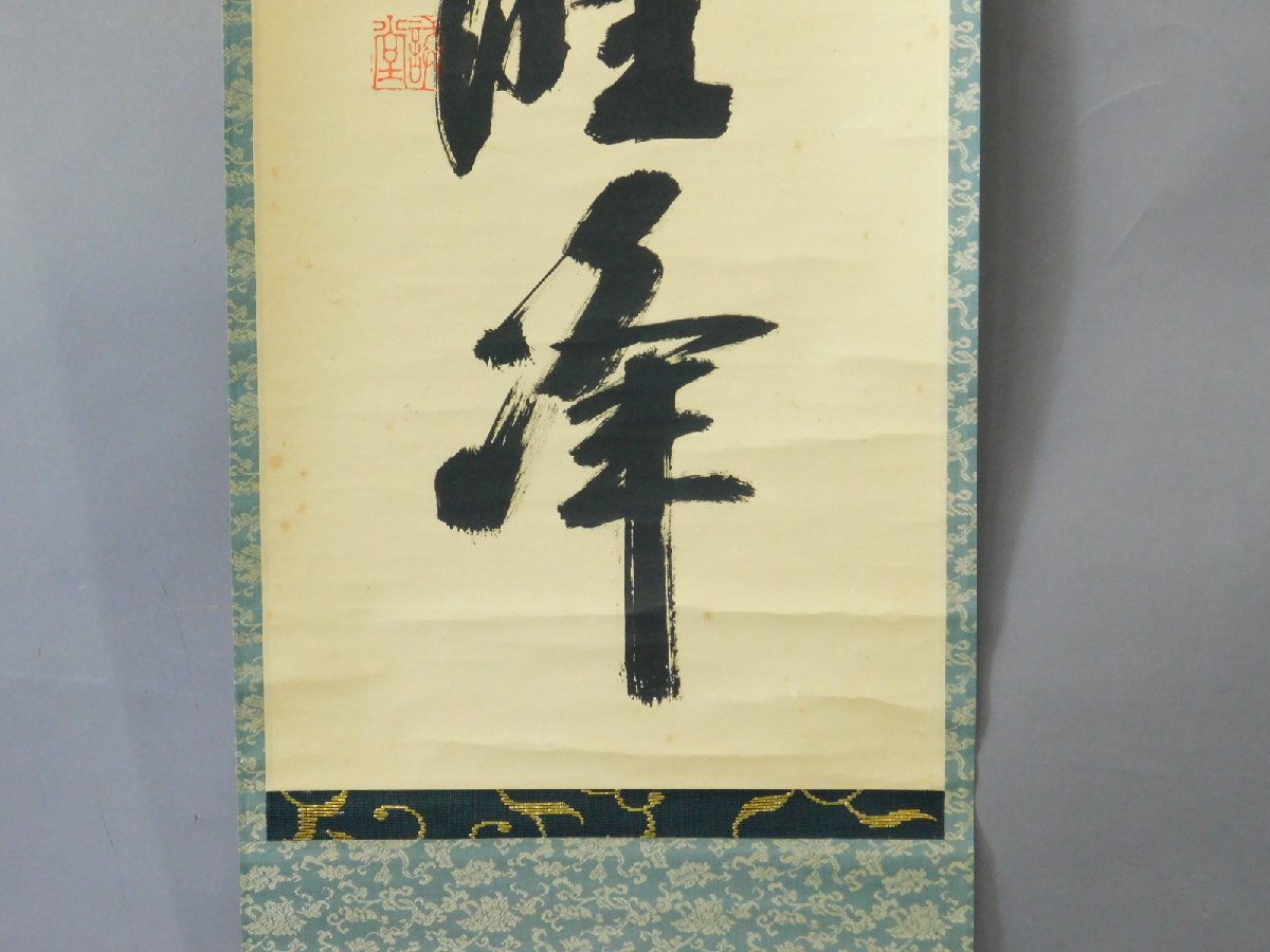 藤井誡堂 一行書 書作品 紙本 軸装 掛軸 大徳寺515世管長 茶掛 茶道具