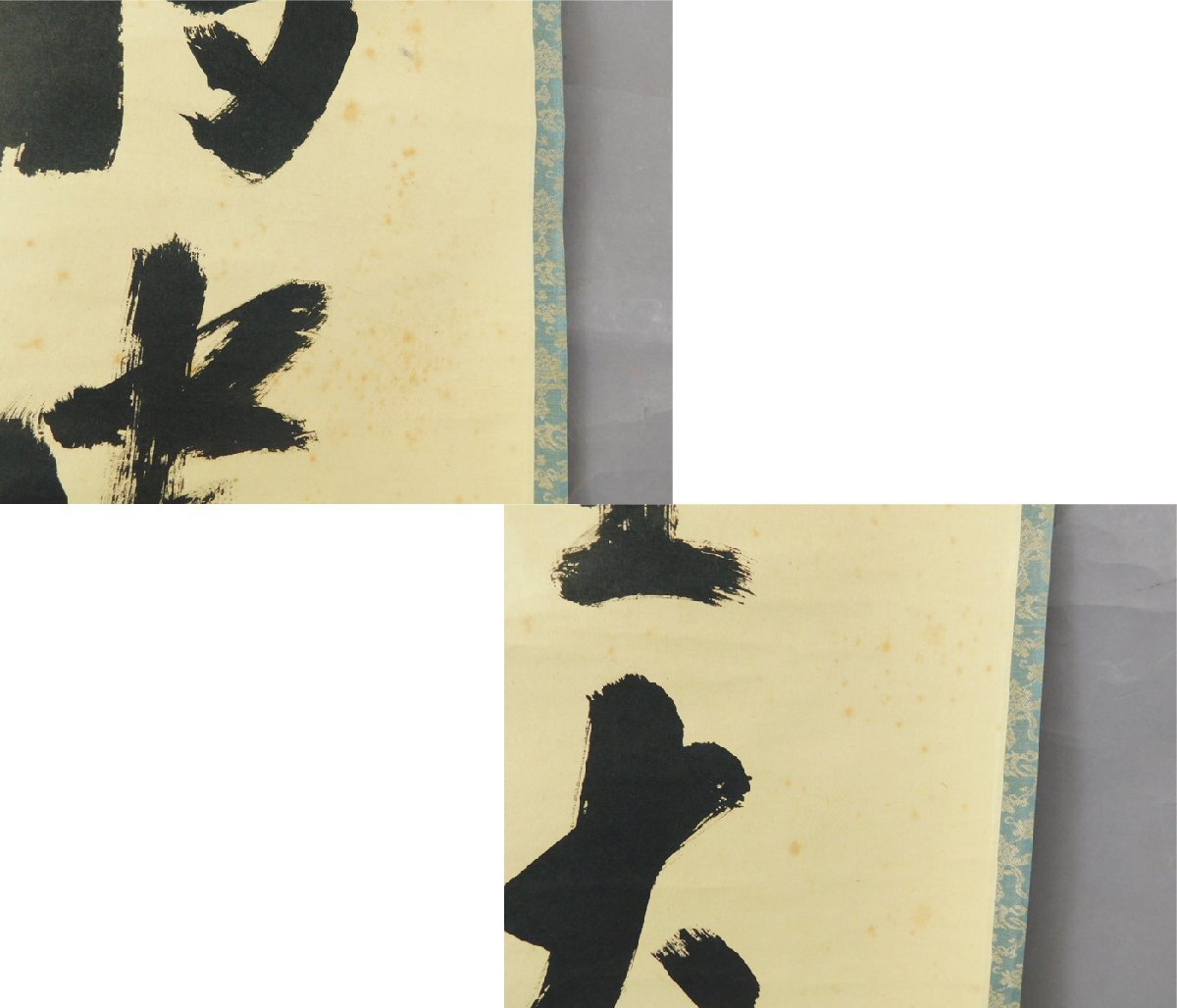 藤井誡堂 一行書 書作品 紙本 軸装 掛軸 大徳寺515世管長 茶掛 茶道具