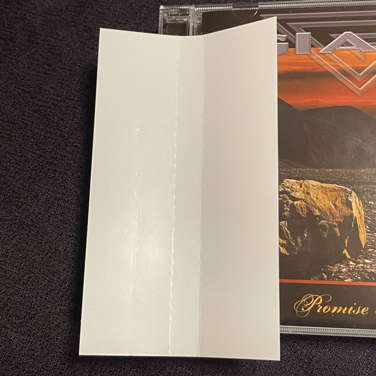 ☆彡レア帯付特集/TERRY BLOCK◇HR,メロハー,AOR◇GIANT/PROMISE LAND 