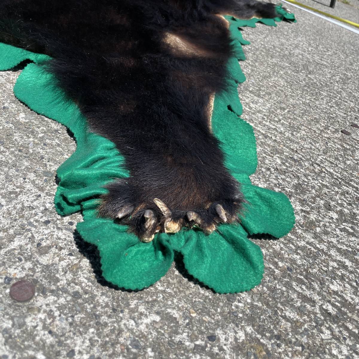 ヒグマ 熊 黒毛 剥製 毛皮 絨毯 ツキノワグマ熊の毛皮 ラグ 敷物 剥製