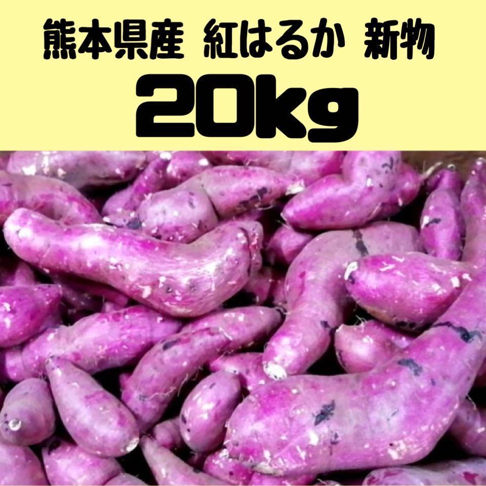 紅はるか 熊本県産 20kg 箱込約5kg以上 べ 送料無料｜Yahoo!