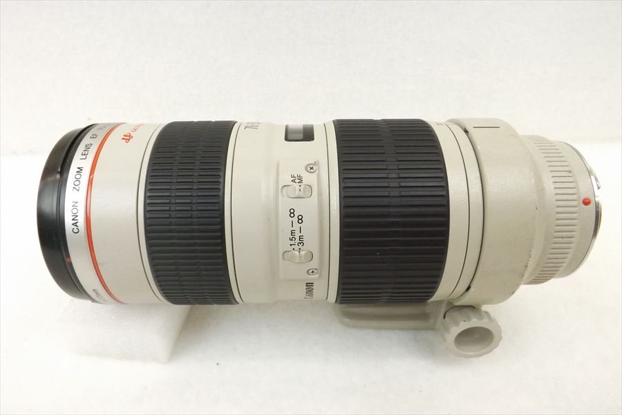 SONY E 16-50mm F3.5-5.6 OSS ズームレンズ F2.8L IS EF70-200mm Canon USM EF 70-200mm キヤノン III フルサイズ