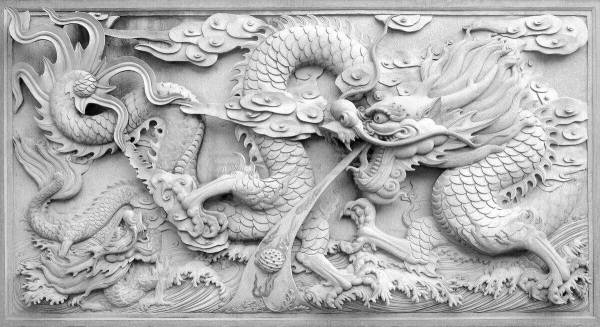  3D ドラゴン ホワイト ＰＶＣ バックスクリーン 183 x 65cm 龍 アロワナ 大型魚 オーバフロー エイ アクリル(水槽装飾品)｜売買されたオークション情報、yahooの商品情報をアーカイブ公開 - オー 水槽装飾品