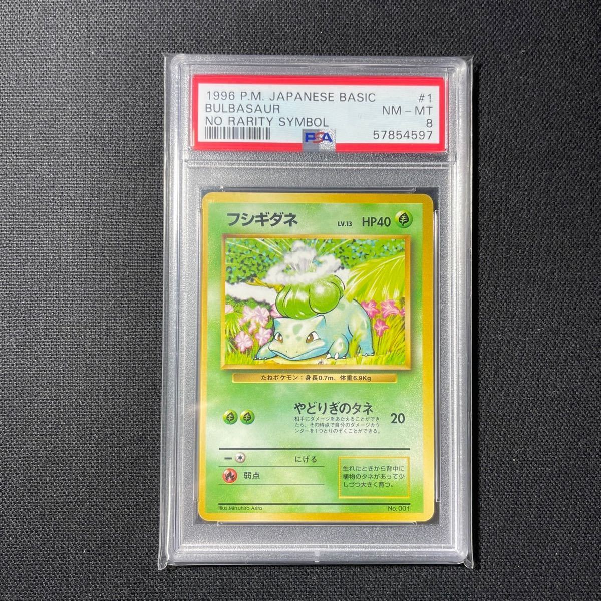 旧裏　ポケモンカード　まとめ売り 旧裏 フシギダネ ポケモンカード 初版 旧裏面 フシギダネ