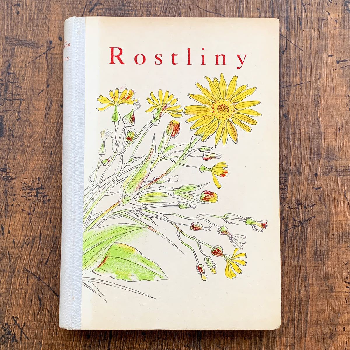 チェコの古い植物図鑑(Rostliny1946年)/アンティーク ヴィンテージ 植物画 花の絵 洋書 ボタニカルアート イラスト 美品 雰囲気◎/