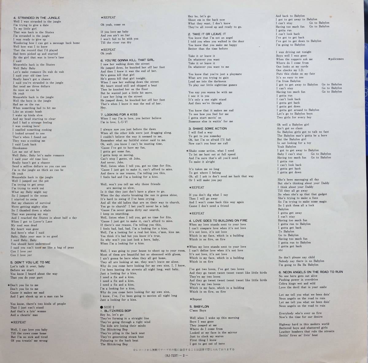 希少 美盤LP WE ARE PUNK GENERATION決定盤 これがパンクだ ランナ 