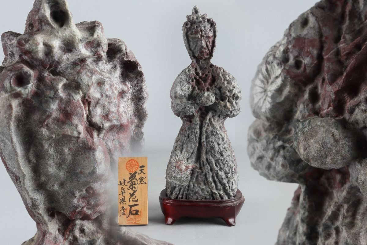 [URA]天然人形菊花石/13.5cm・1865g/9-s8-80(検)骨董/天然石/原石/鑑賞石/飾石/天然石/鉱物/パワーストーン/ポークストーン