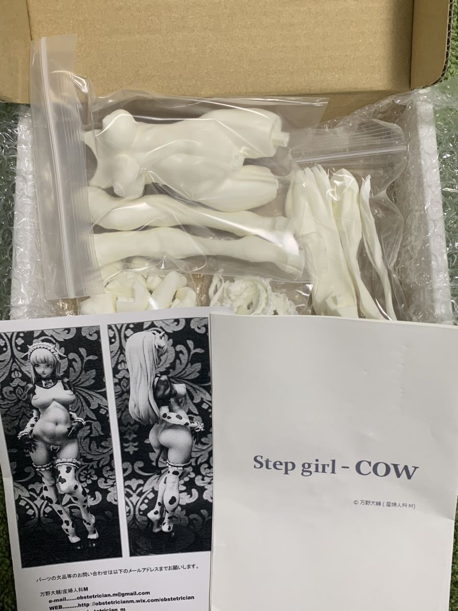 stepgirl-COW ガレージキット ワンフェスWF ふき取ら 産婦人科M