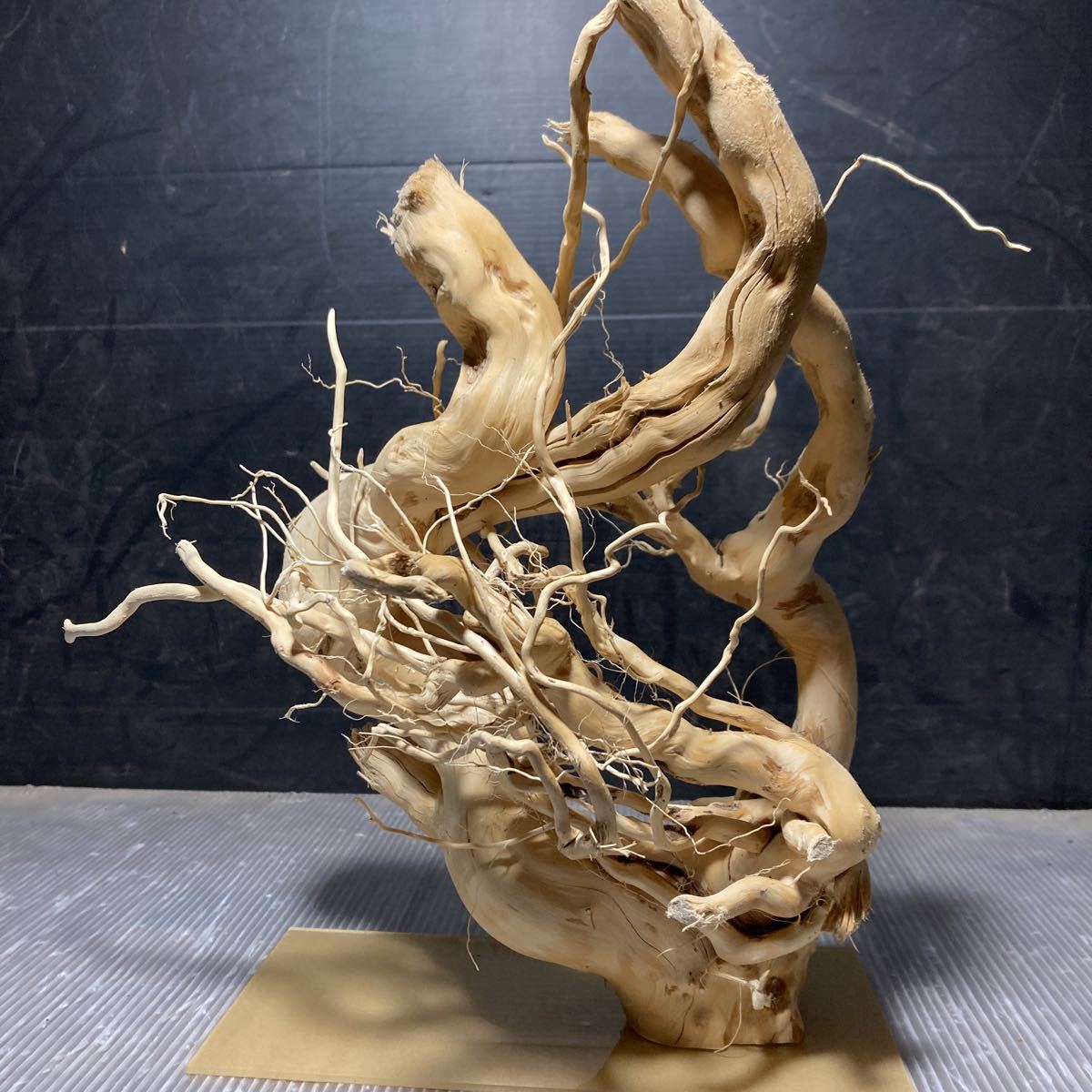 ☆sea tree☆送料無料♪アクリル板施工済み流木 　 1375流木/水槽/アクアリウム/テラリウム/インテリア/ADA/サンゴ/置物/