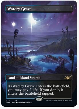 FOIL▼土地▼MTG▼アンフィニティ（Unfinity）▼湿った墓