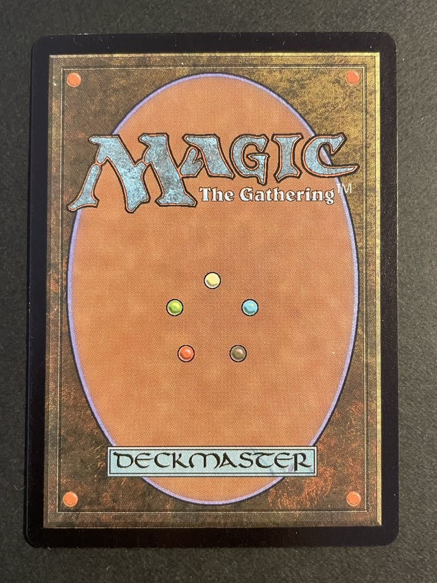 MTG MTG 森 ユーロランド フランス プロモ 基本土地 ユーロランド