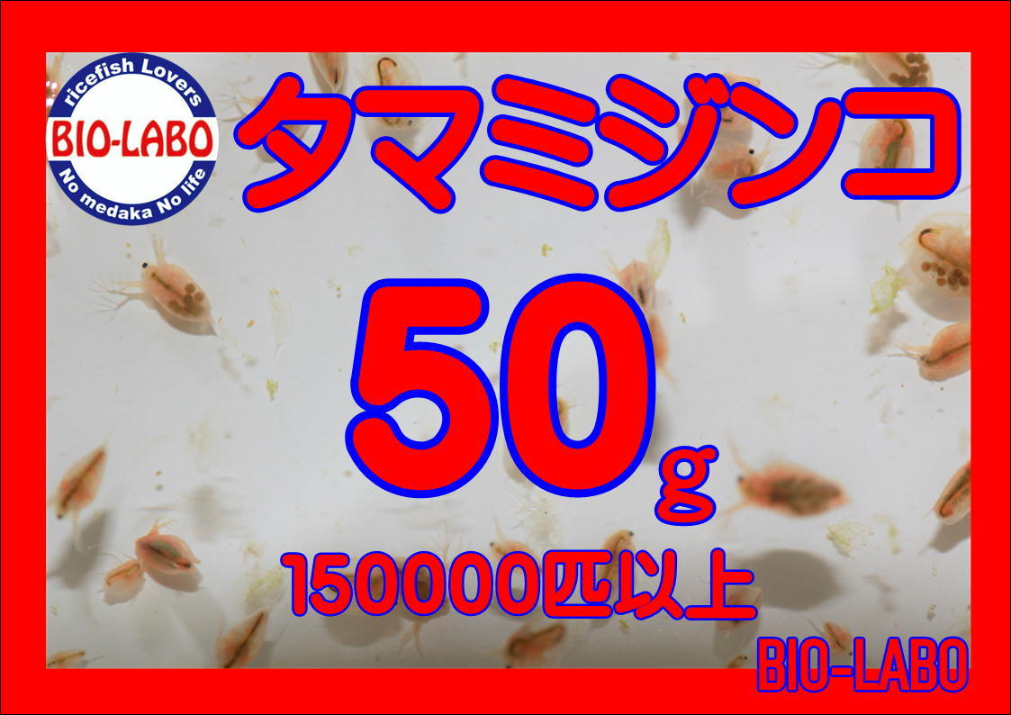 100%新品，セール タマミジンコ 50ｇ メダカ 金魚 熱帯魚の餌に(エサ)｜売買されたオークション情報、yahooの商品情報をアーカイブ公開 - オークファン エサ