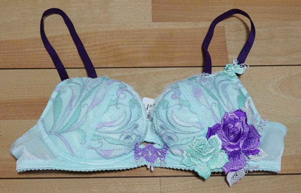 Salute(サルート) 66グループ ブラジャー(C75)、Tバック(L)