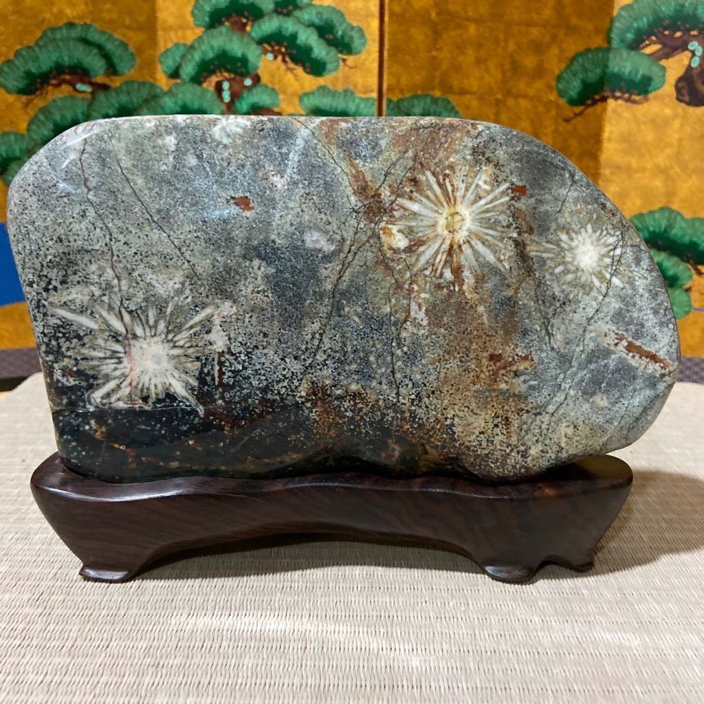 「万石」　鑑賞石　自然石　本台座付　瀬田川自然石