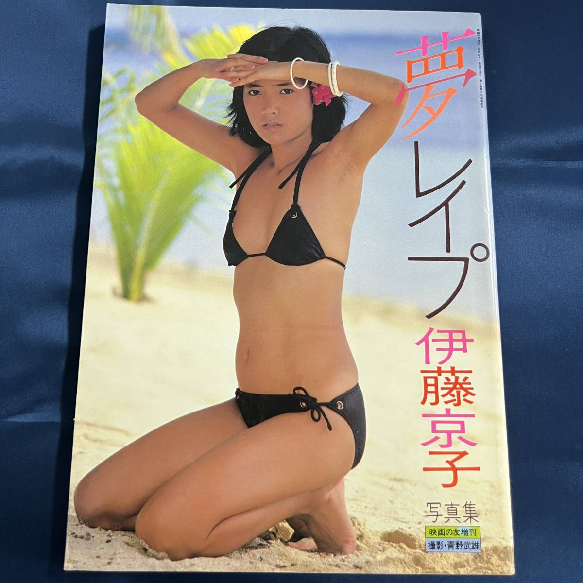 レイプの社