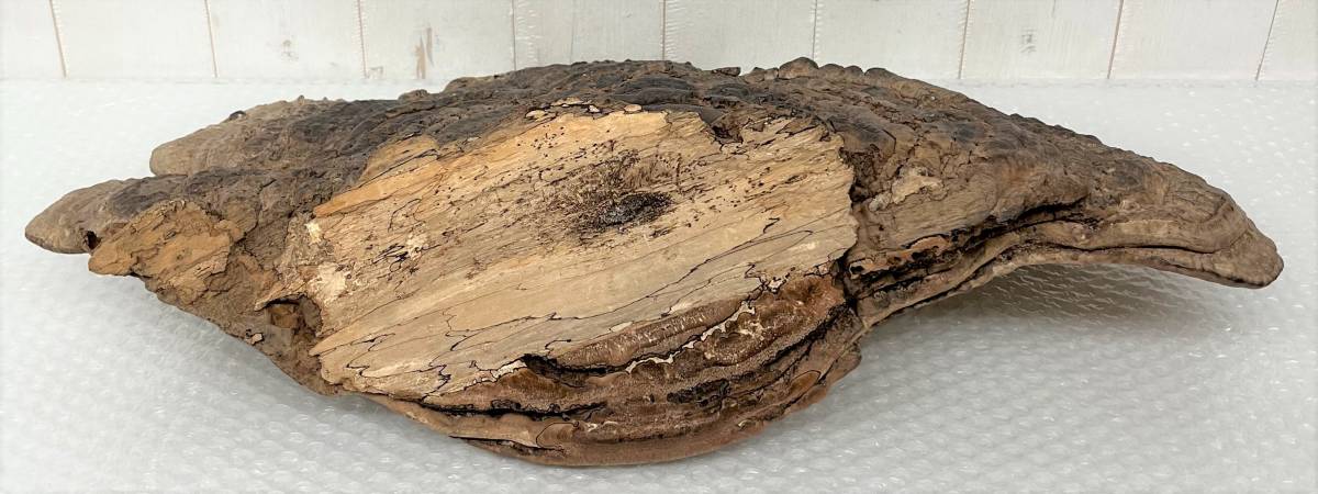さるのこしかけ サルノコシカケ 4点 置物 オブジェ 和風天然木 鑑賞用 