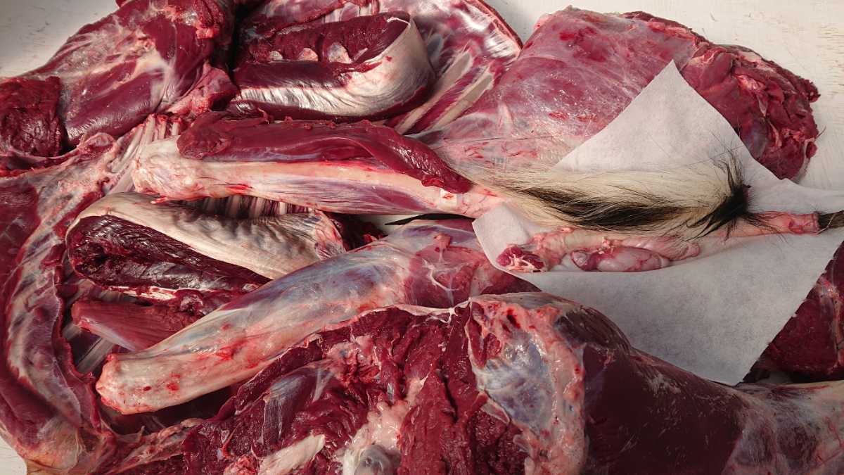 陰茎の値段と価格推移は 31件の売買情報を集計した陰茎の価格や価値の推移データを公開