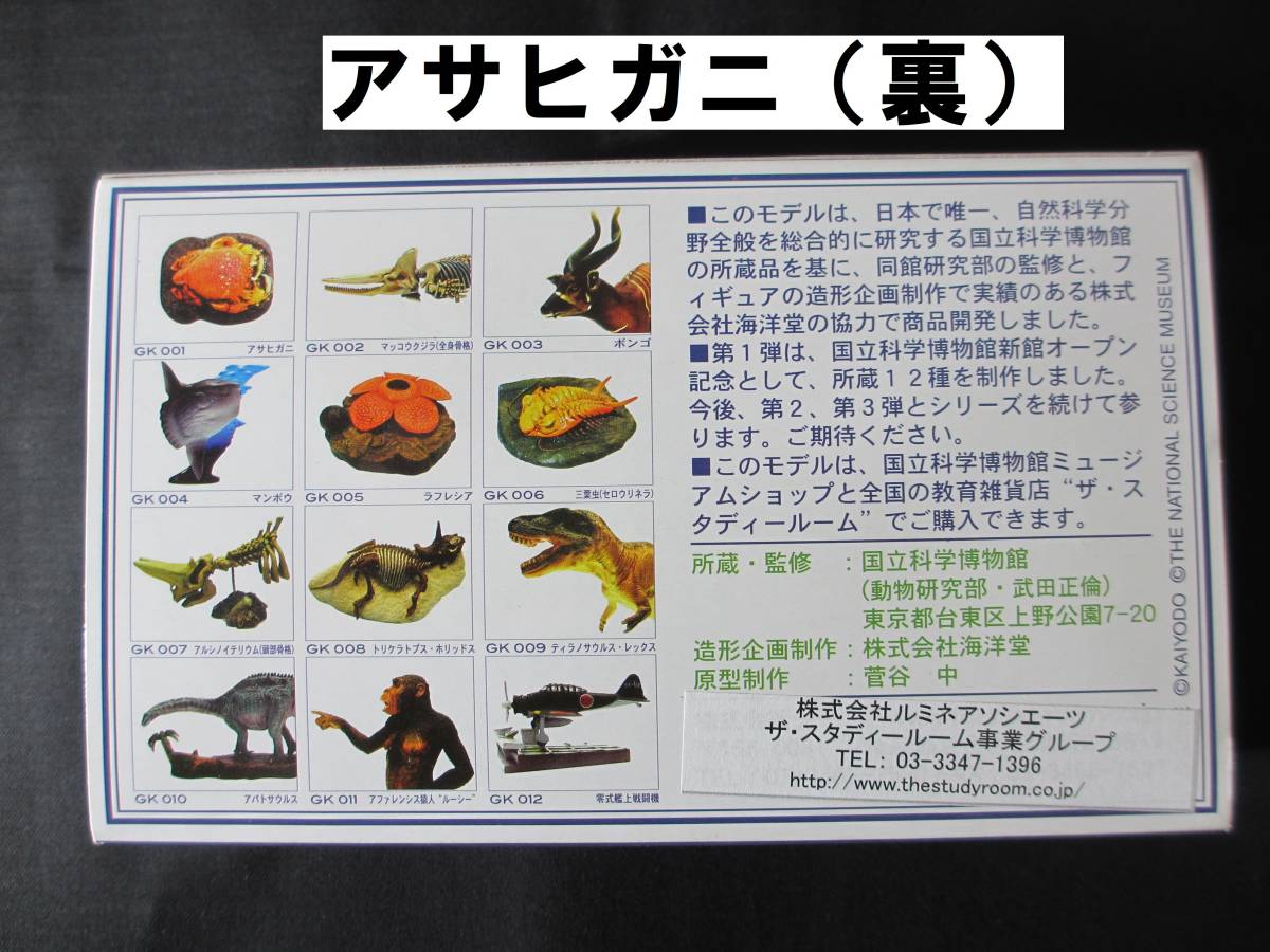 ビンテージフィギュア アサヒガニ 「国立科学博物館監修 科博所蔵品