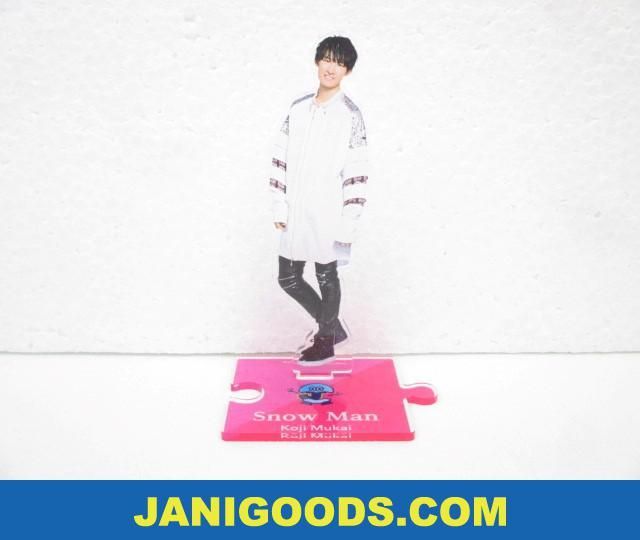 Snow Man 向井康二 Johnnys' ISLAND STORE アクリルスタンド 2019