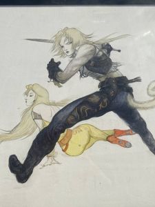 天野喜孝のYahoo!オークション(旧ヤフオク!)の相場・価格を見る｜Yahoo
