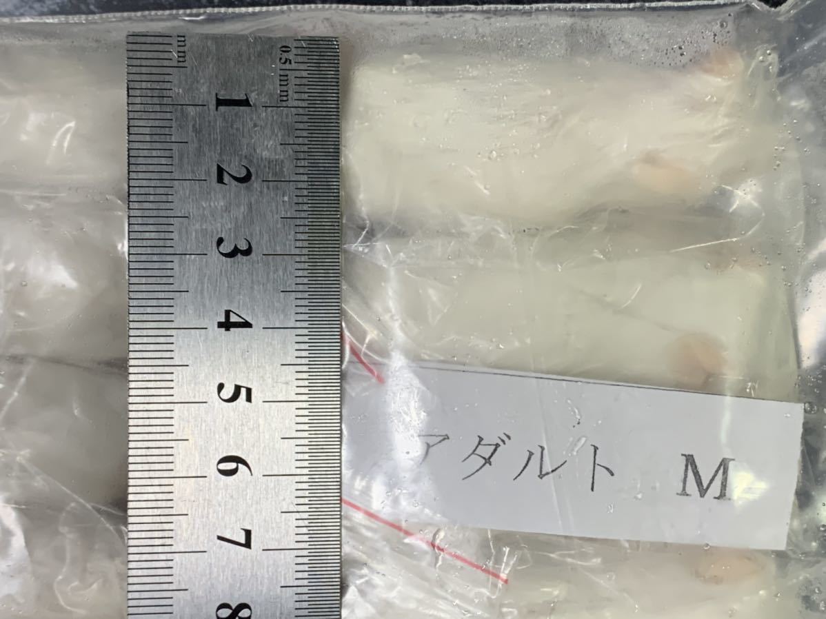 アダルトM 国産冷凍マウス 冷凍マウス 両生類 猛禽類 アダルト 冷凍