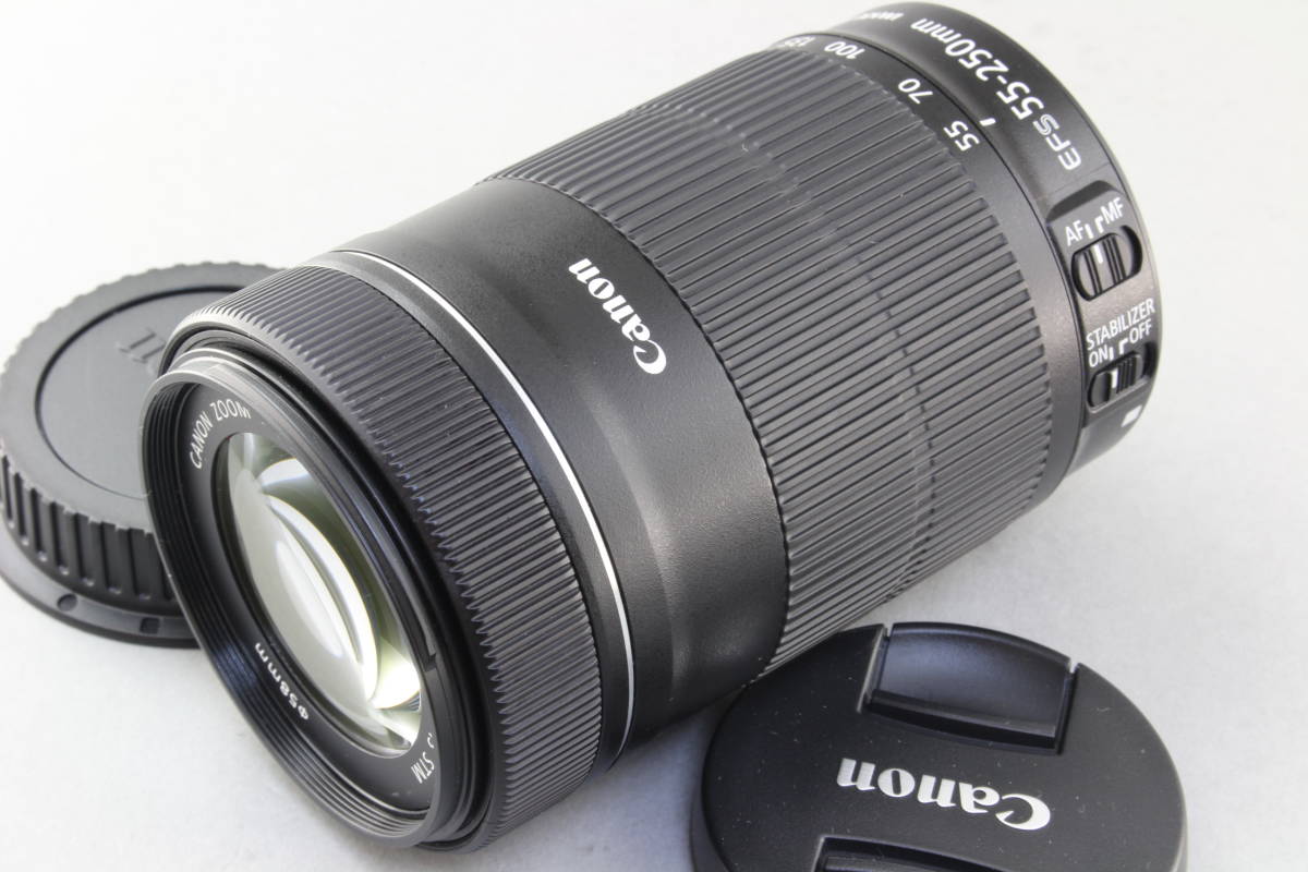 キヤノンの望遠ズームレンズ「EF-S55-250mm F4-5.6 IS II」【公式 