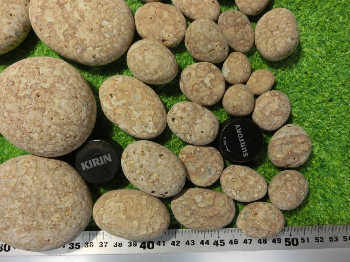 姫川薬石 自然放射線 トロン トロン温泉 遠赤外線 0 原石 220g 虎石 大