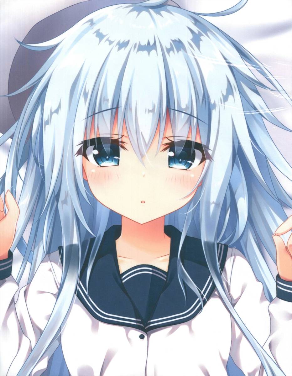 きのこのみ kino ヴェールヌイ2016 抱き枕 抱き枕カバー(抱き枕)｜売買  