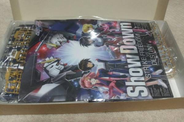 1/100 MG ストライクフリーダムガンダム　フルバーストモード_2