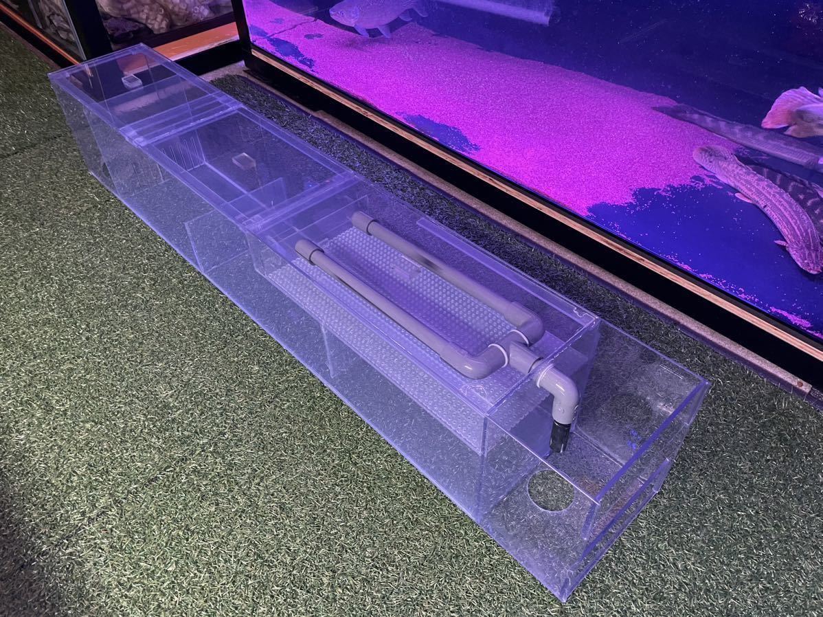 品質保証，人気 ぷぅ工房製 120センチアクリル水槽用上部フィルター(上部式)｜売買されたオークション情報、yahooの商品情報をアーカイブ公開 - オークファン 上部式