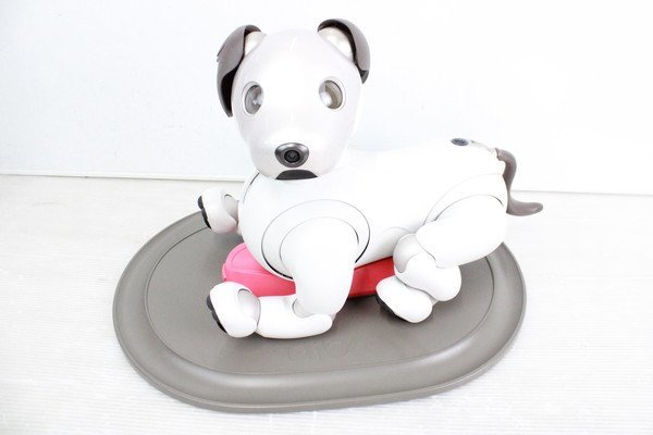 ソニー アイボ ERS-1000 AIBO 犬型 ロボット ペット SONY 74S00441 ERS