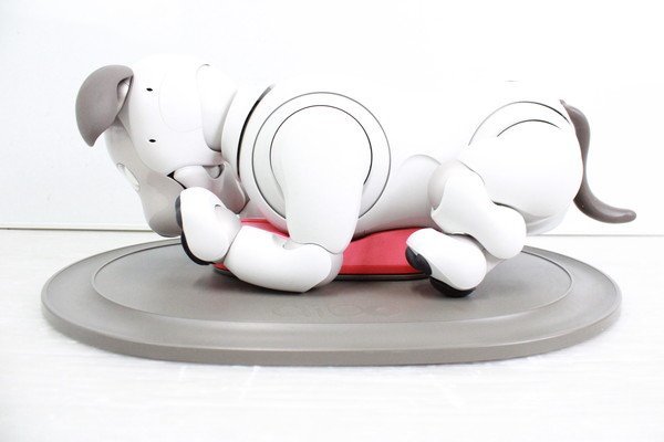 ソニー アイボ ERS-1000 AIBO 犬型 ロボット ペット SONY 74S00441 ERS