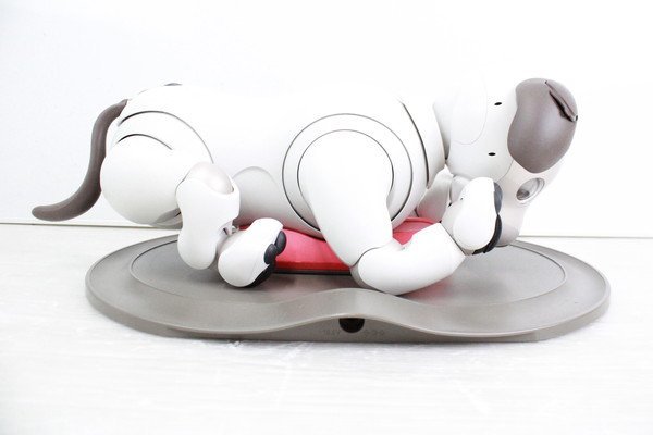 ソニー アイボ ERS-1000 AIBO 犬型 ロボット ペット SONY 74S00441 ERS