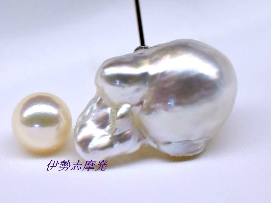 ◆伊勢志摩発◇ 超特大の白蝶ジャンボ珠！26㎜ｘ17,3㎜ｘ厚み15,4㎜ナチュラル南洋真珠ピンブローチ/84_1