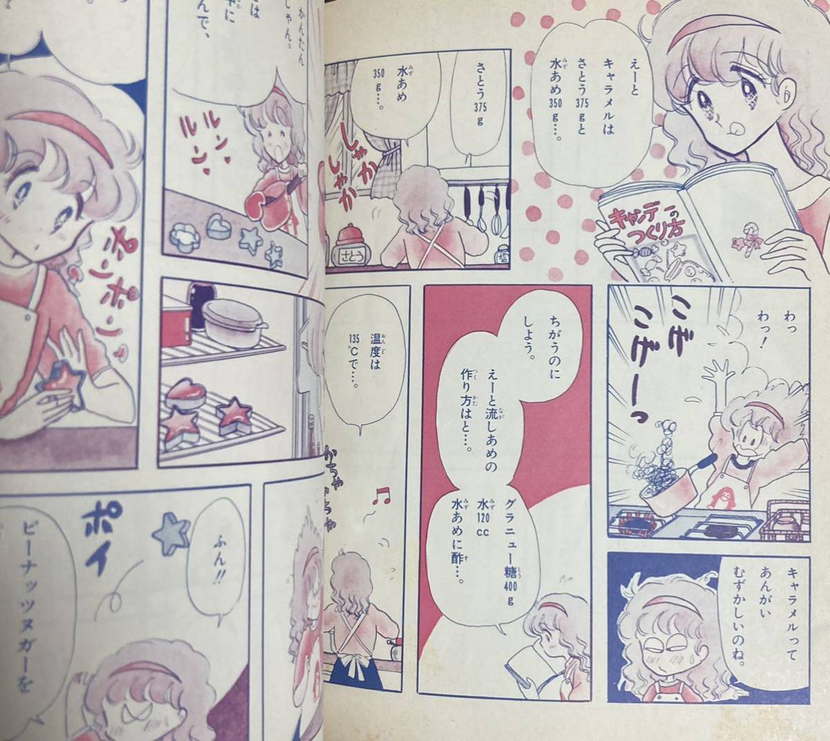 小学館ミニレディー百科 わくわく楽しいキャンデー百科 キャンディ