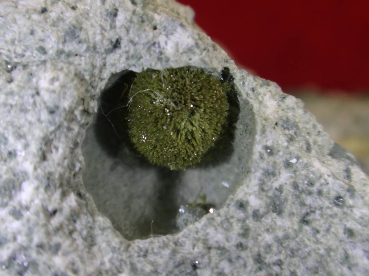 国産鉱物　緑簾石　長野県東内産　