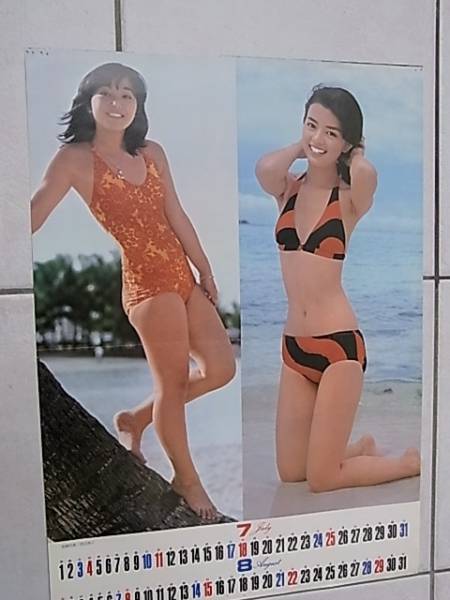 岩崎宏美 岡田奈々 水着 ビキニ ポスター 付録 ふろく 切抜き あ行 売買されたオークション情報 Yahooの商品情報をアーカイブ公開 オークファン Aucfan Com