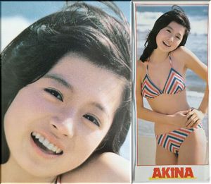 中森明菜 ポスターのYahoo!オークション(旧ヤフオク!)の相場・価格を