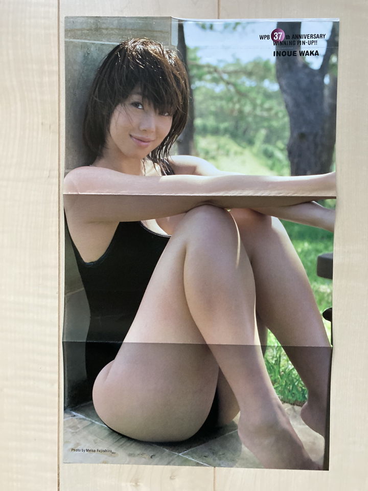 井上和香切り抜き（29ページ分15枚・折り込みポスター）(井上和香