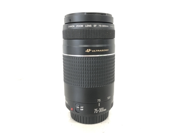 Canon EF 75-300mm F4-5.6 III USM ②